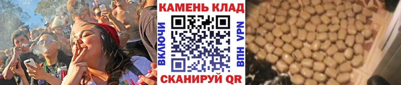 где продают   Новотроицк  ГАШИШ индика сатива 