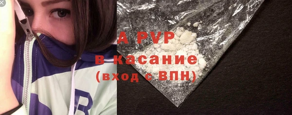 твердый Абаза