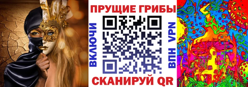 Галлюциногенные грибы прущие грибы  Новотроицк 