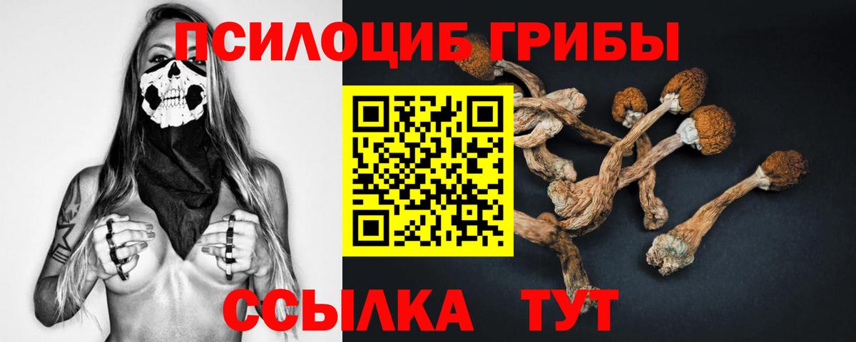 Галлюциногенные грибы Psilocybine cubensis  Вход с VPN  Новотроицк 